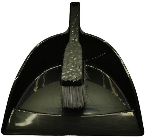 Casey Handheld Dust Pan And Brush Set Black
